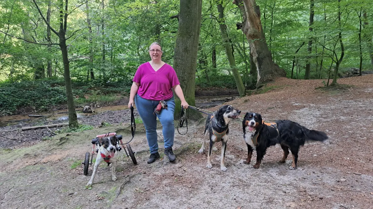 Dia mit Xary, Fleur und Neige im Wald