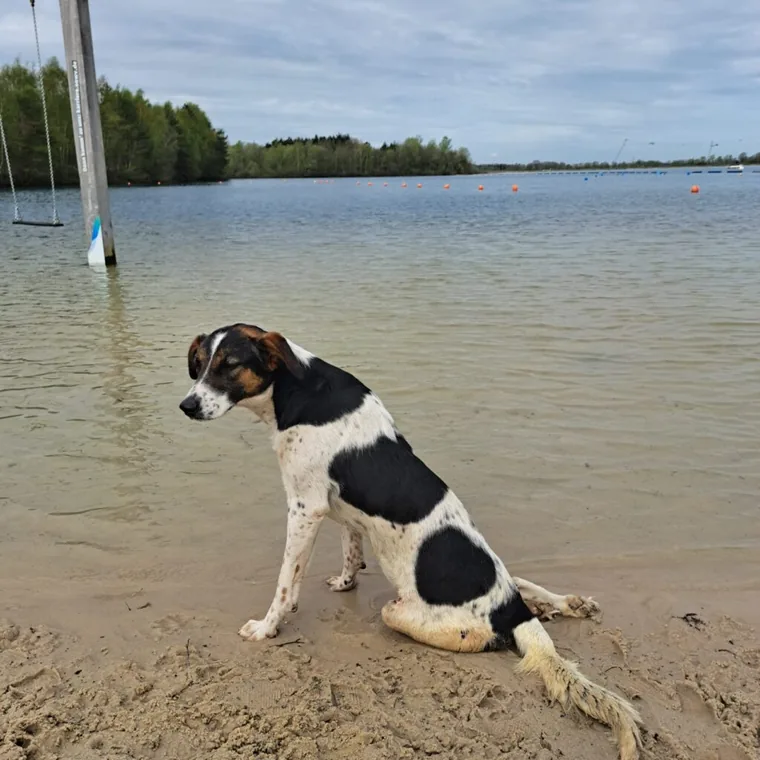 Neige am Strand